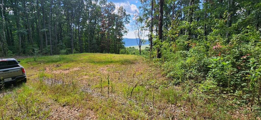 409361 Ellijay Land