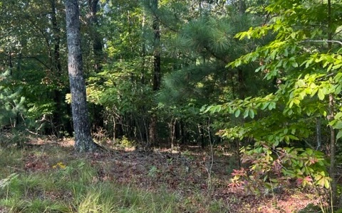 409389 Ellijay Land