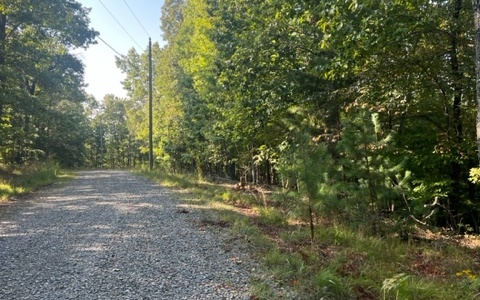 409389 Ellijay Land