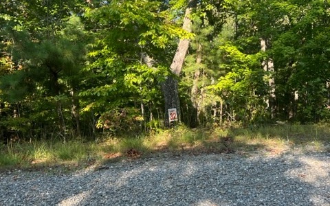 409389 Ellijay Land