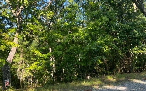 409389 Ellijay Land