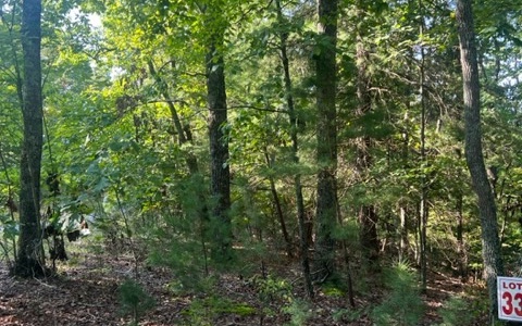 409390 Ellijay Land