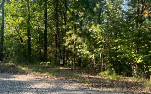 409390 Ellijay Land