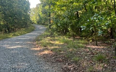 409390 Ellijay Land