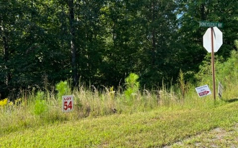 409391 Ellijay Land