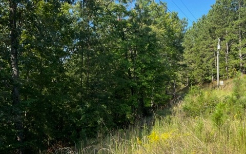 409391 Ellijay Land