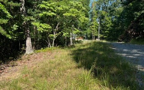 409392 Ellijay Land