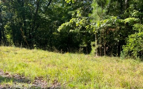 409392 Ellijay Land