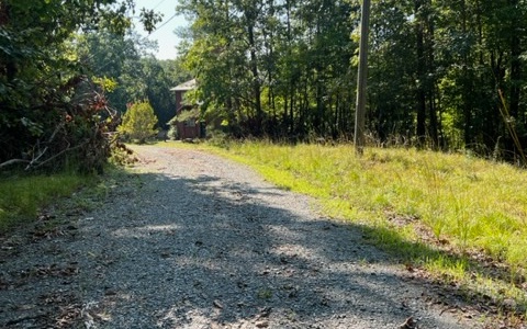 409392 Ellijay Land