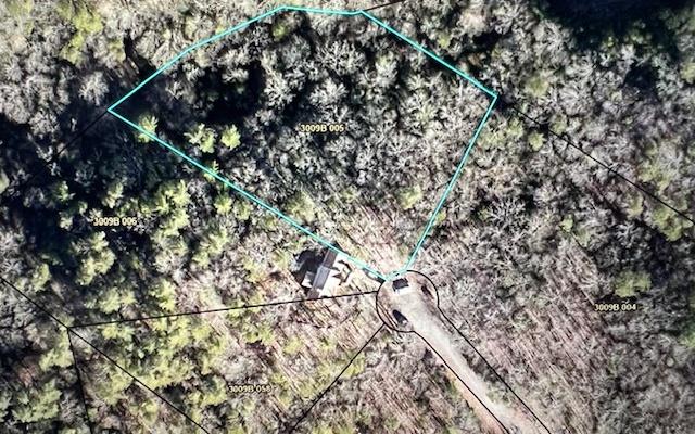 409394 Ellijay Land