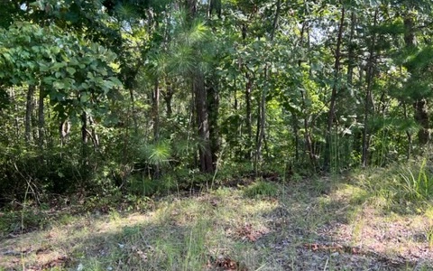 409394 Ellijay Land