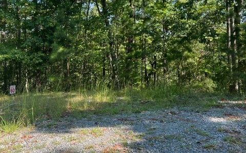 409394 Ellijay Land