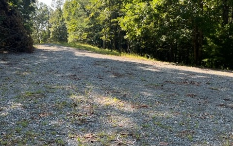 409394 Ellijay Land