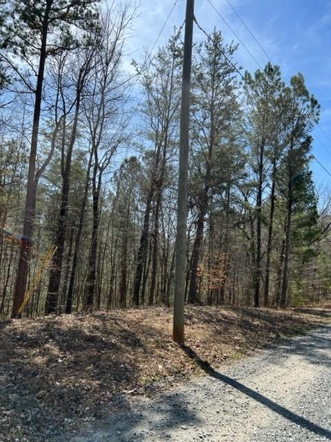 409396 Ellijay Land