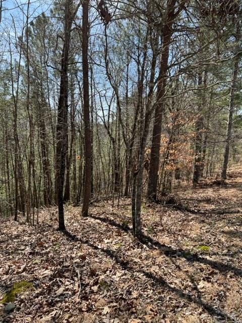 409396 Ellijay Land