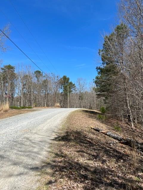 409396 Ellijay Land