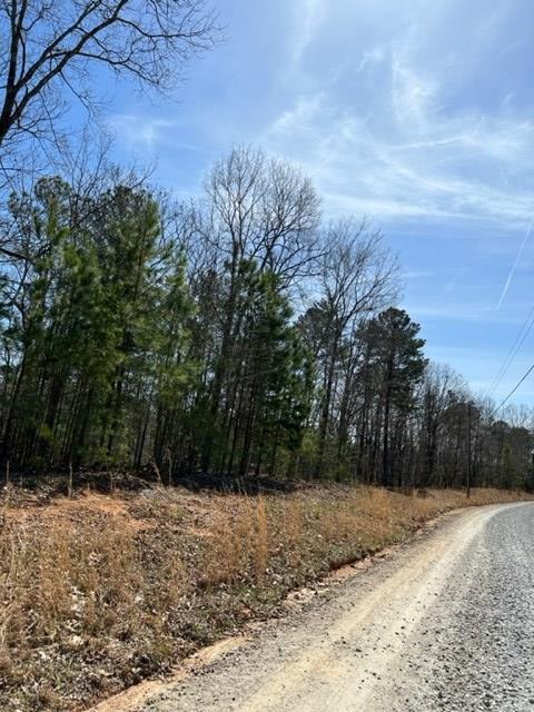 409396 Ellijay Land