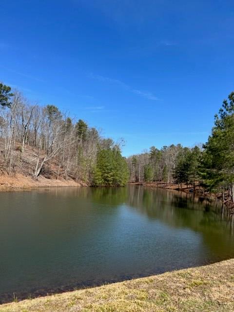 409396 Ellijay Land