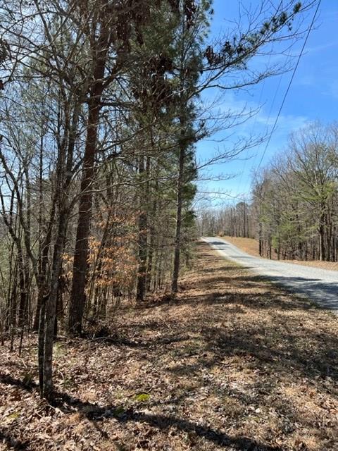 409397 Ellijay Land