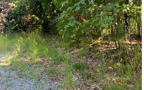 409399 Ellijay Land