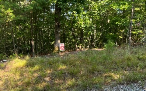 409399 Ellijay Land