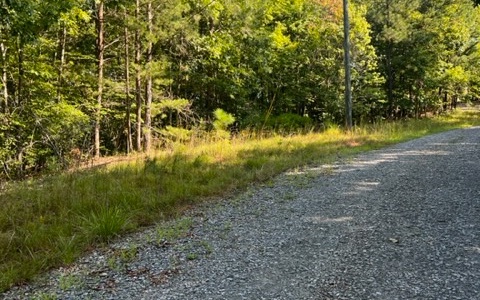 409399 Ellijay Land