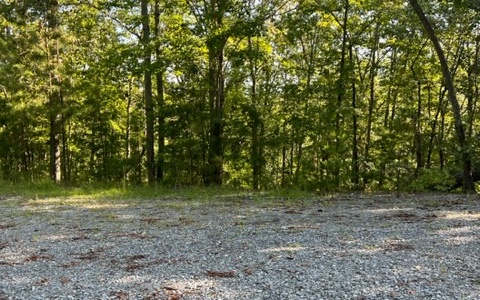 409399 Ellijay Land