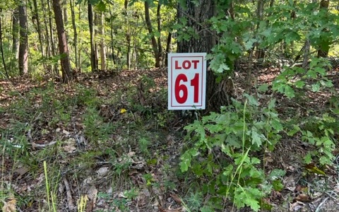 409399 Ellijay Land