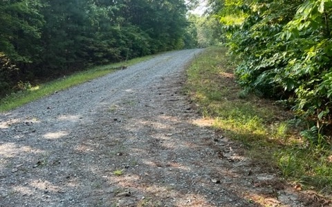 409400 Ellijay Land