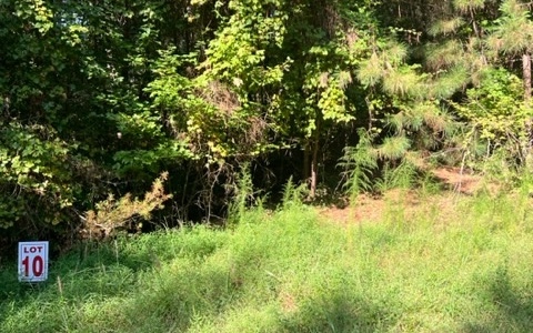 409400 Ellijay Land