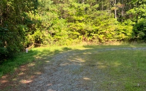 409400 Ellijay Land