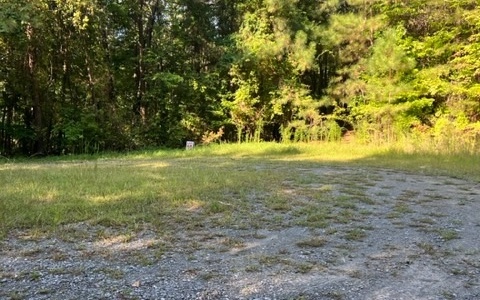 409400 Ellijay Land