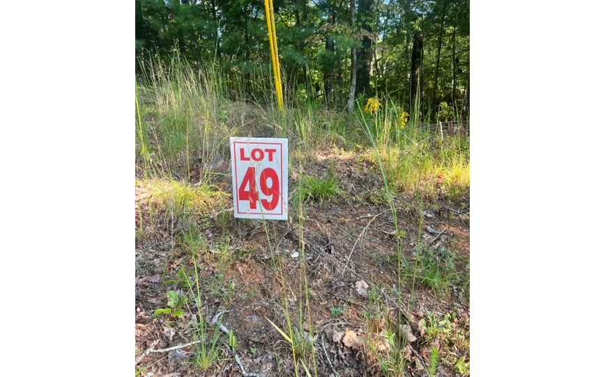 409401 Ellijay Land