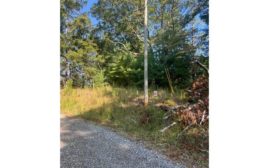 409401 Ellijay Land