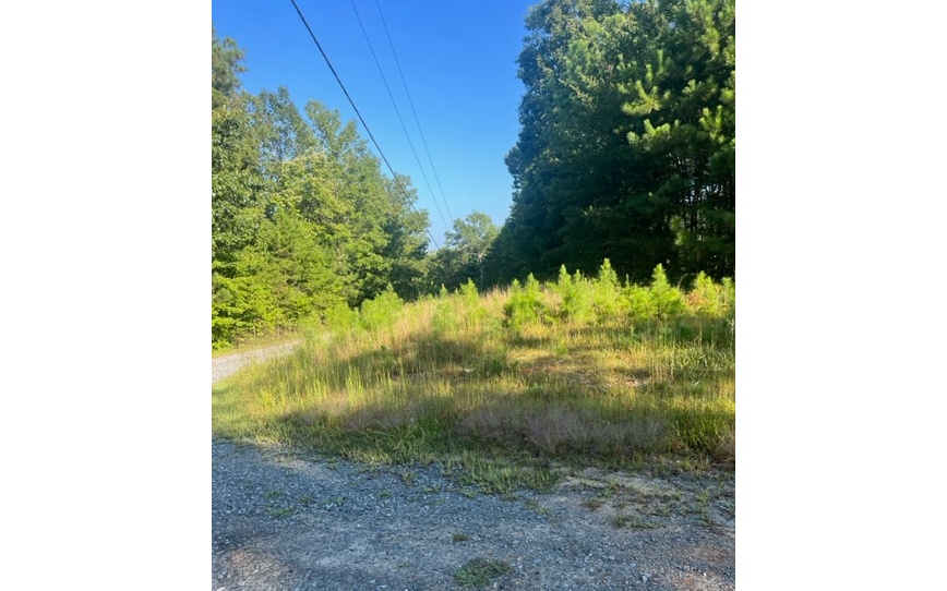 409402 Ellijay Land