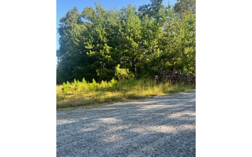 409402 Ellijay Land