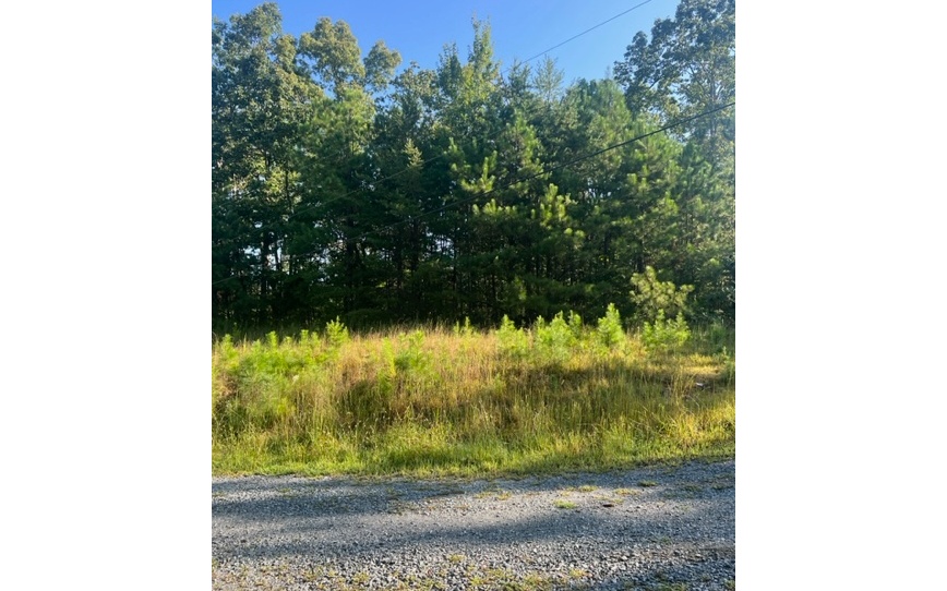 409402 Ellijay Land