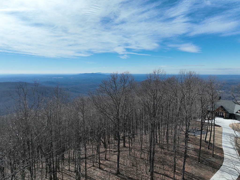 409404 Ellijay Land