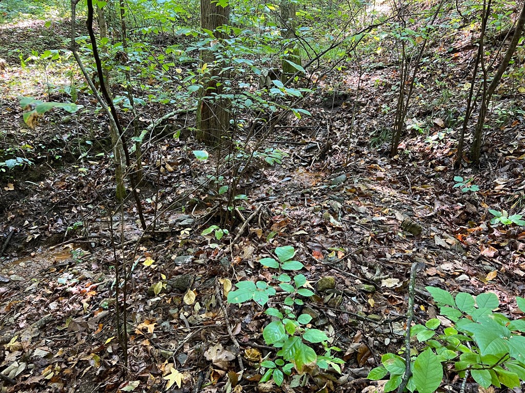 409409 Ranger Land