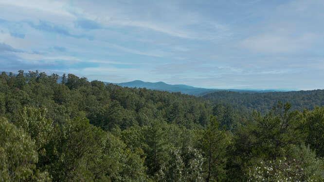 409429 Ellijay Land