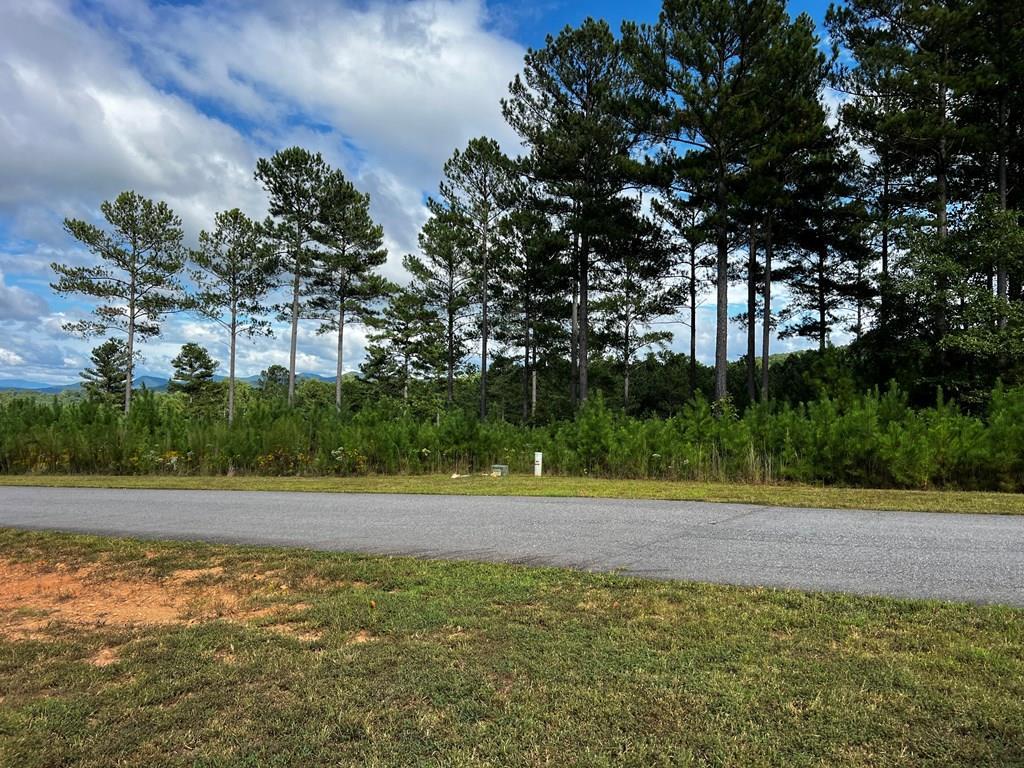 409435 Blairsville Land