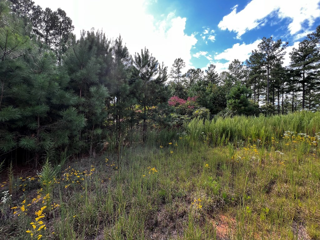 409435 Blairsville Land