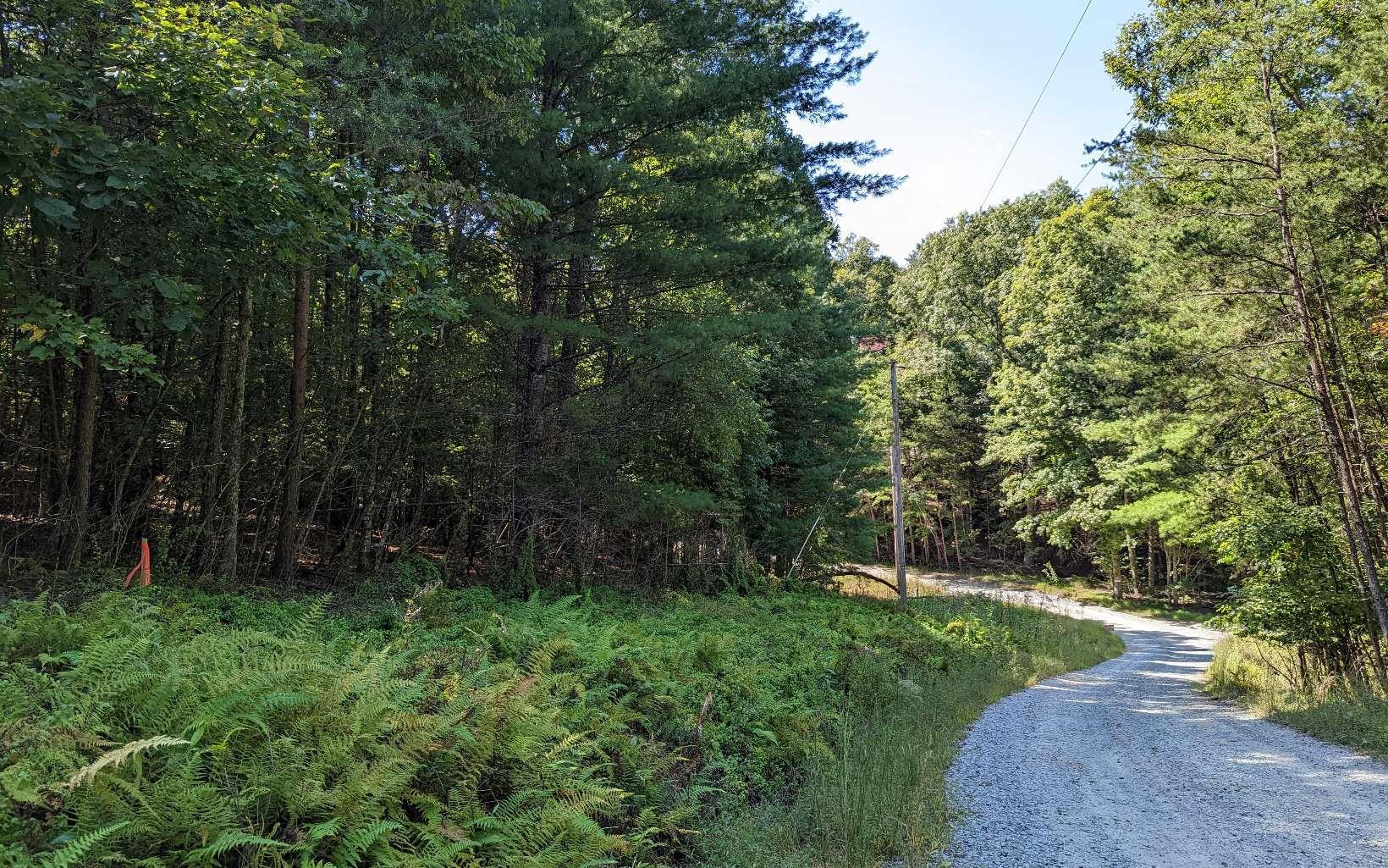 409455 Mineral Bluff Land