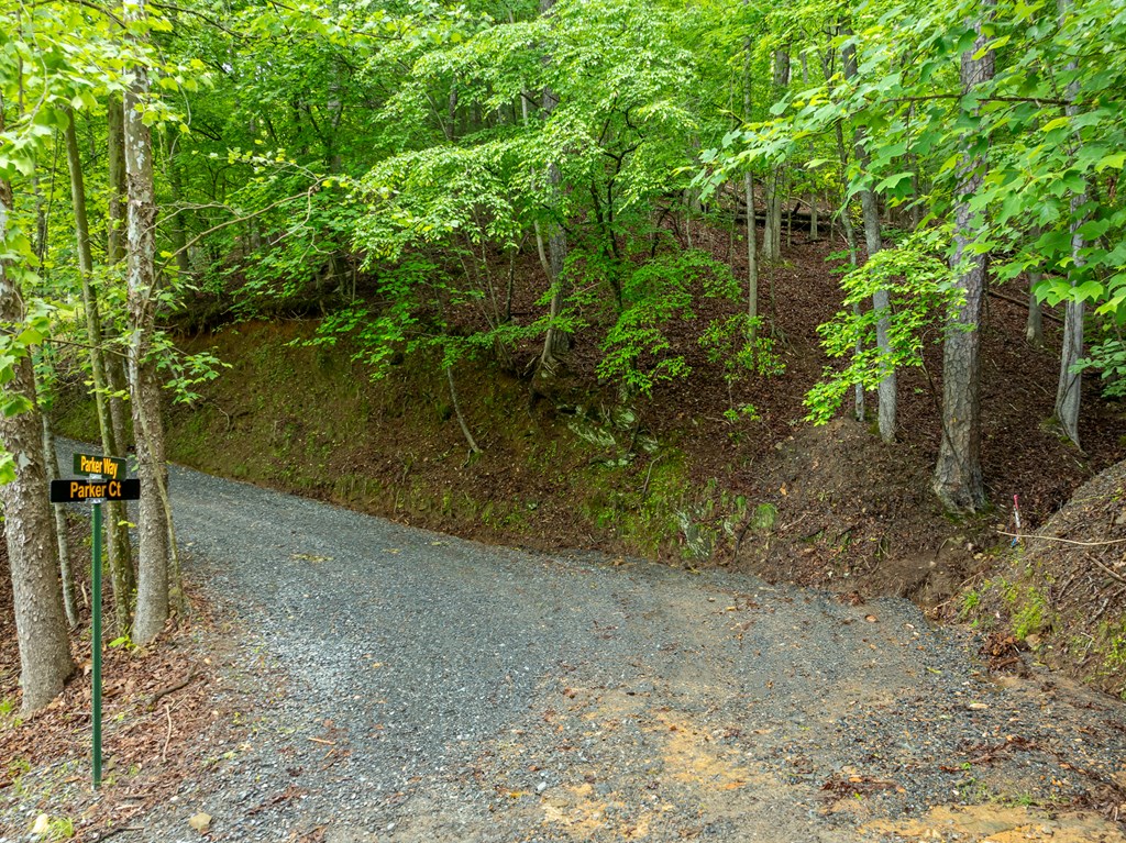 409459 Ellijay Land