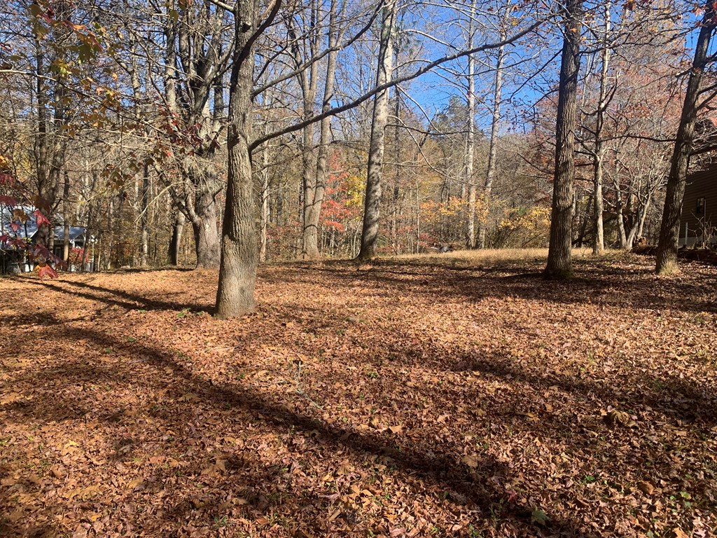 409462 Blairsville Land