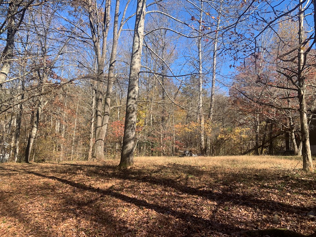 409462 Blairsville Land