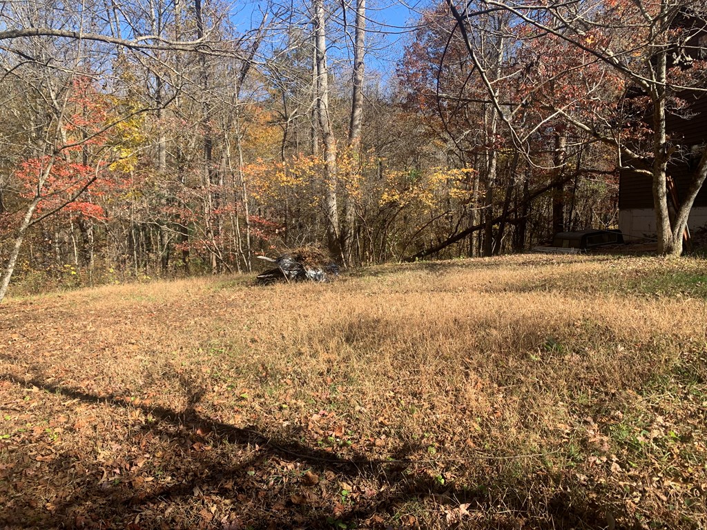 409462 Blairsville Land