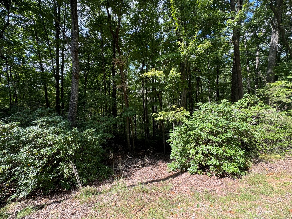 409465 Ellijay Land