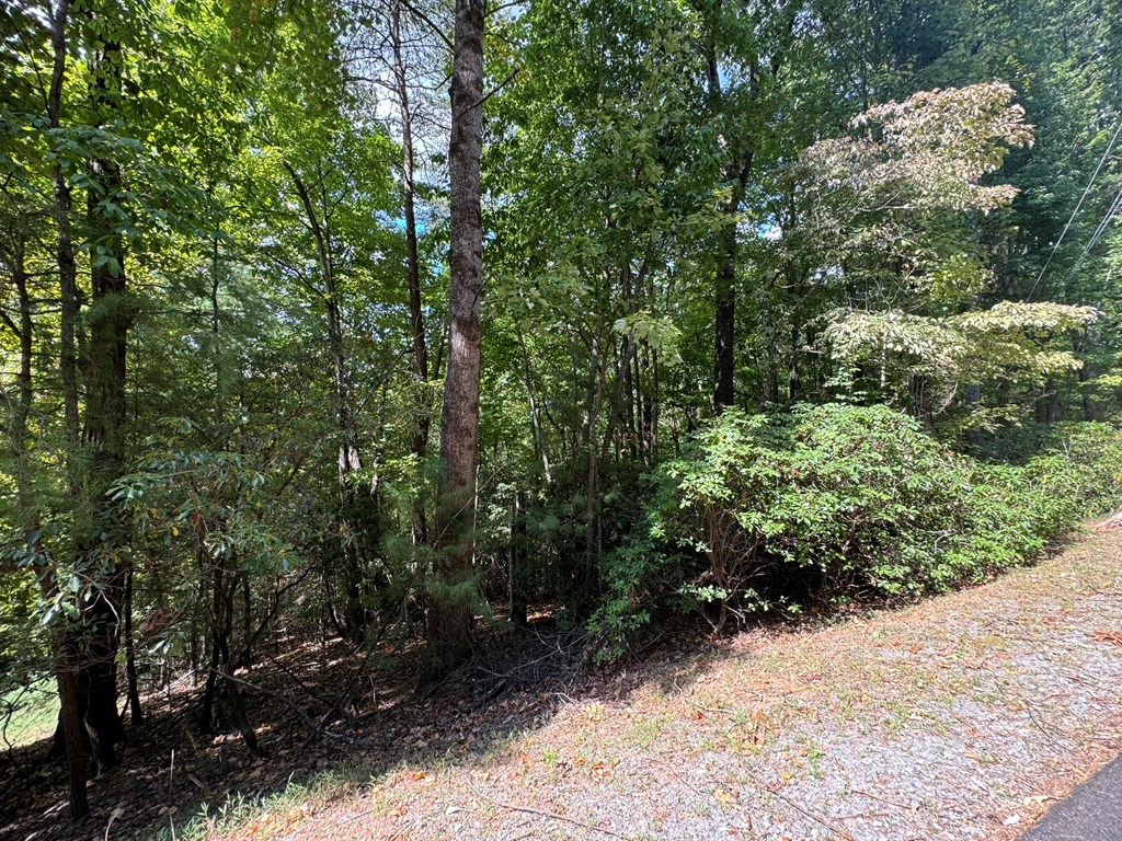 409465 Ellijay Land