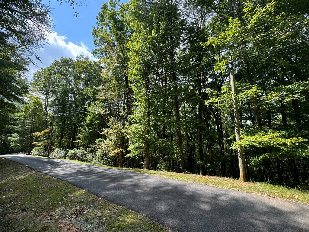 409466 Ellijay Land